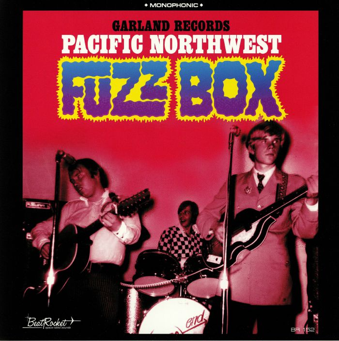 GARLAND RECORDS/VARIOUS - Pacific Northwest Fuzz Box (mono)