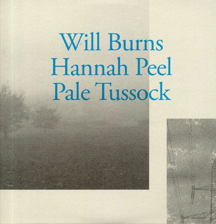 BURNS, Will/HANNAH PEEL - Pale Tussock