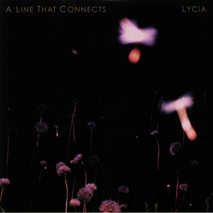 LYCIA - A Line That Connects