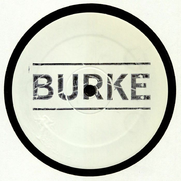 BURKE - Blue Tongued Skink