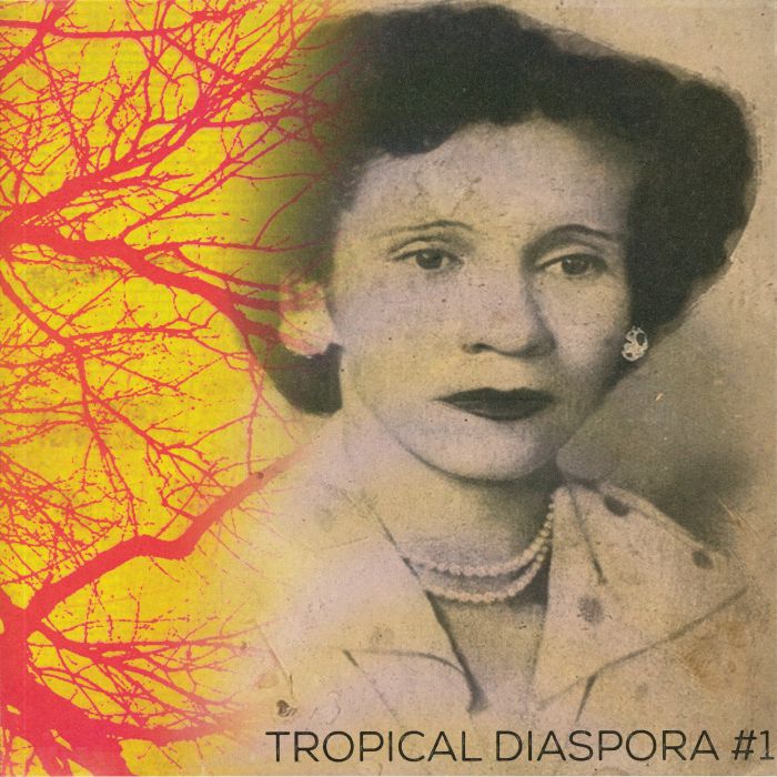 VARIOUS - Tropical Diaspora #1