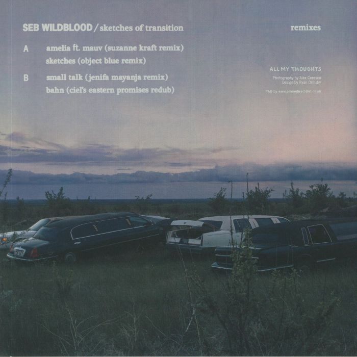 WILDBLOOD, Seb - Sketches Of Transition (remixes)