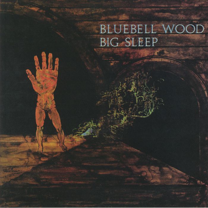 BIG SLEEP - Bluebell Wood (reissue)