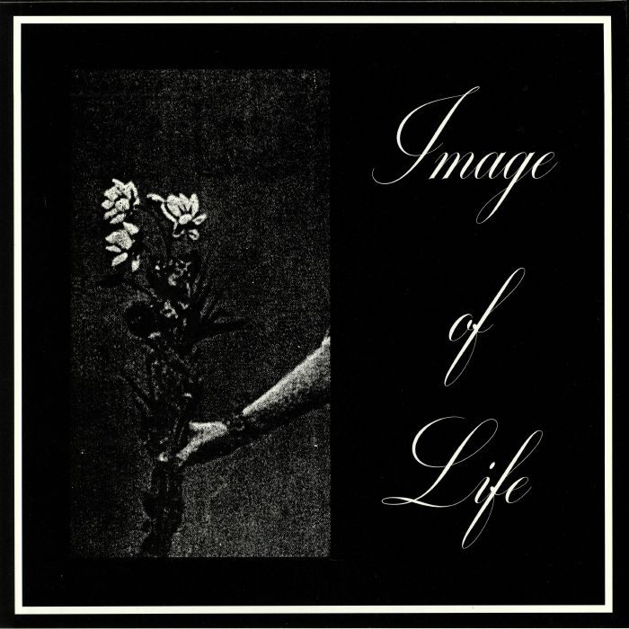 IMAGE OF LIFE - Attended By Silence