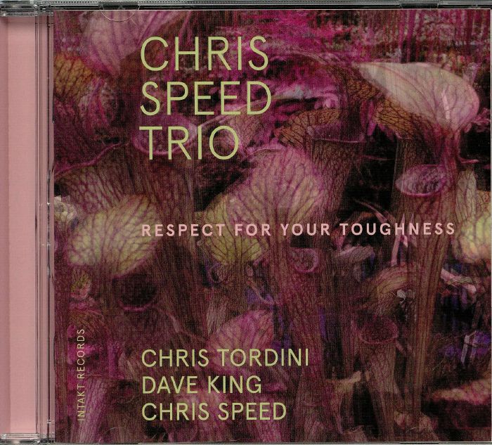 CHRIS SPEED TRIO - Respect For Your Toughness