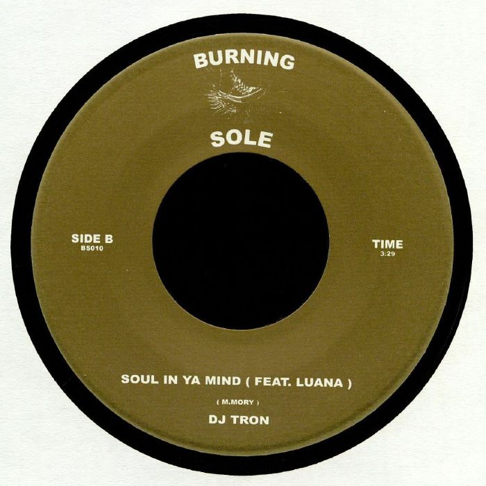 DJ TRON feat LUANA - Love Peace & Unity
