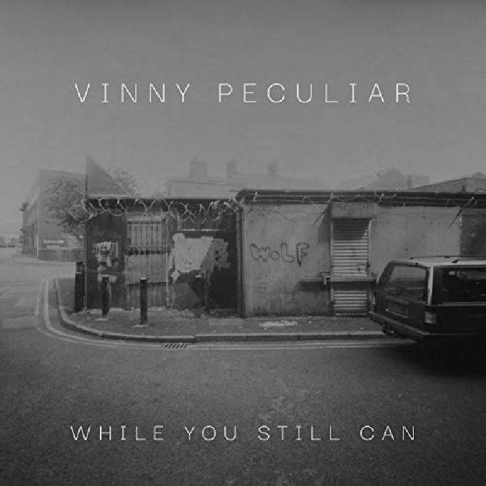 VINNY PECULIAR - While You Still Can