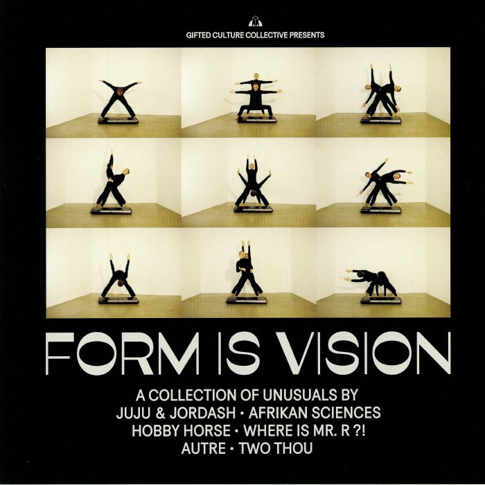 VARIOUS - Form Is Vision