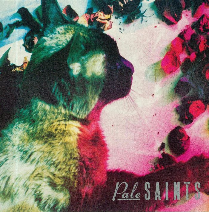 PALE SAINTS - The Comforts Of Madness (30th Anniversary Edition)