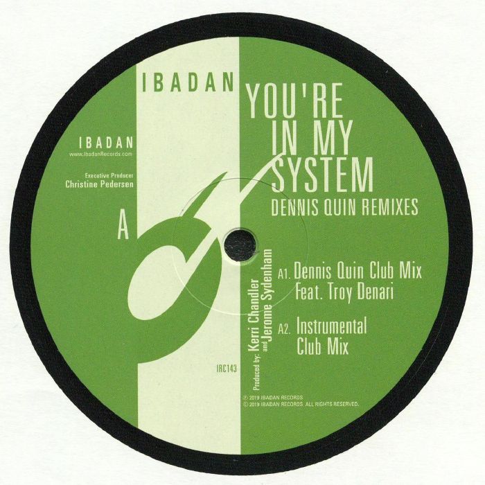 CHANDLER, Kerri/JEROME SYDENHAM - You're In My System: Dennis Quin Remixes