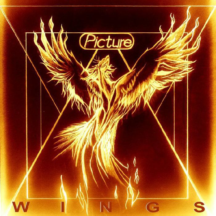 Picture – Wings vinyl cover