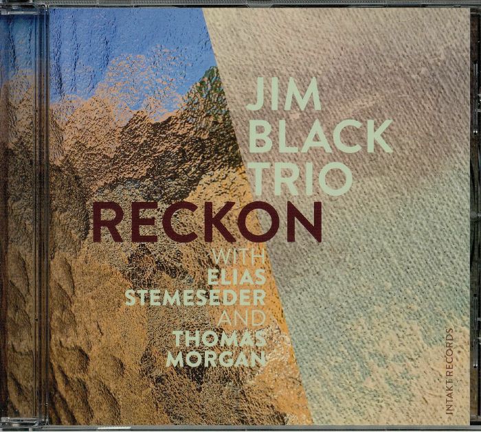 JIM BLACK TRIO - Reckon