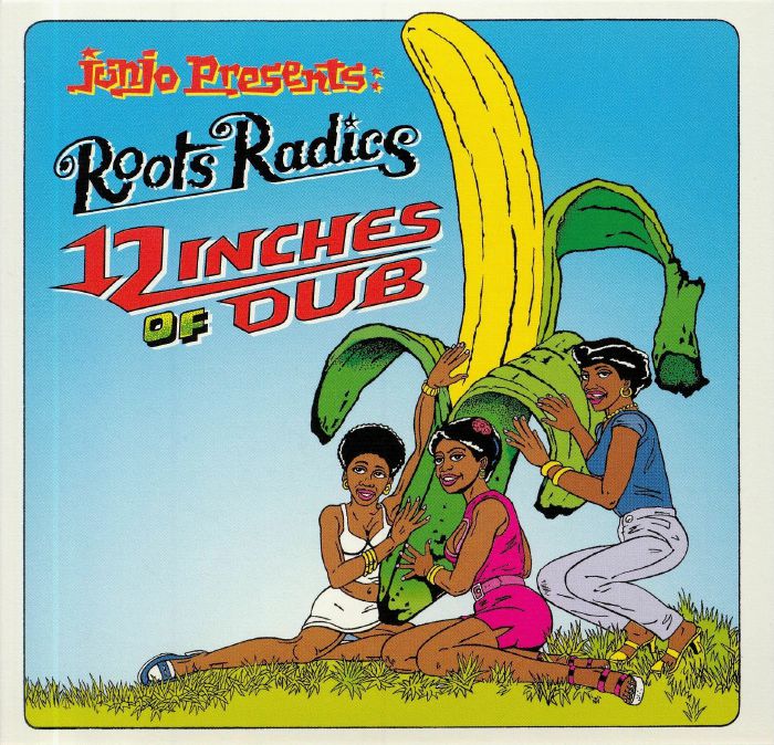 JUNJO presents ROOTS RADICS/GENERAL ECHO - 12" Of Dub/12" Of Pleasure