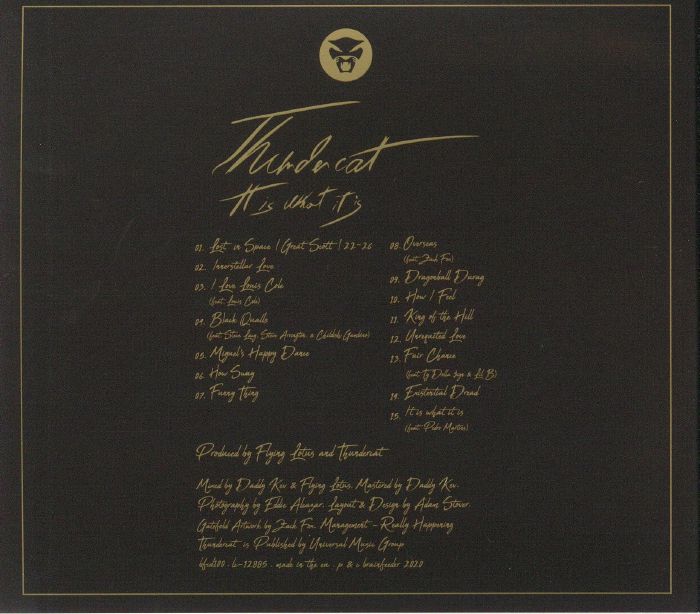 THUNDERCAT - It Is What It Is