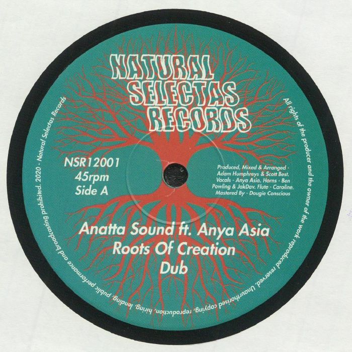 ANATTA SOUND feat ANYA ASIA - Roots Of Creation