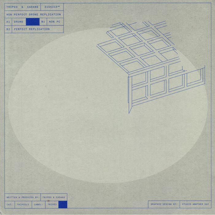 TRIPEO/CADANS - Non Perfect Drone Replication