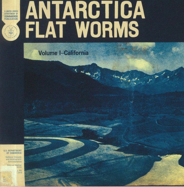 FLAT WORMS - Antarctica