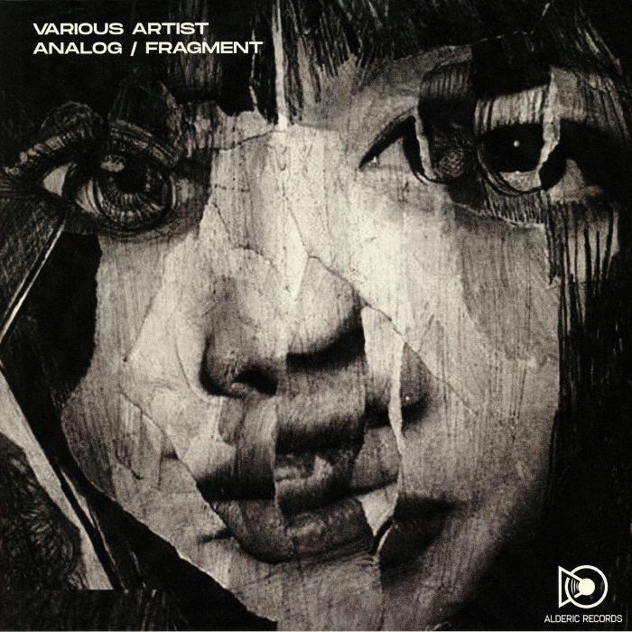 VARIOUS - Analog/Fragment