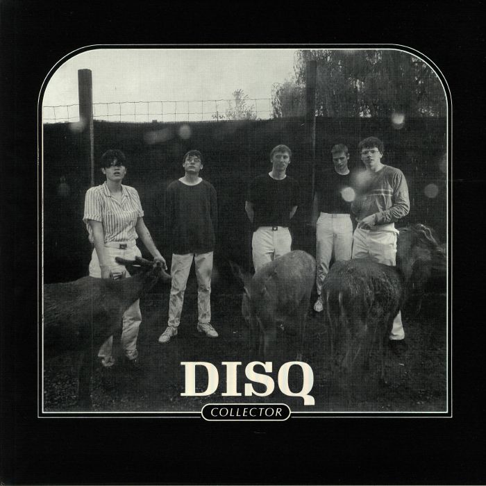 DISQ - Collector