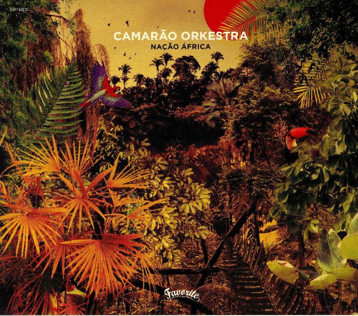 CAMARAO ORKESTRA - Nacao Africa
