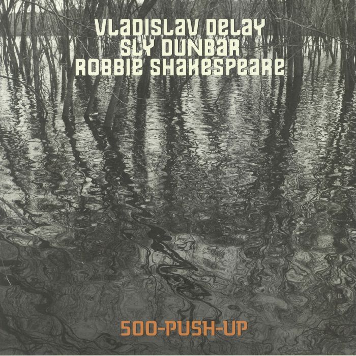 VLADISLAV DELAY/SLY DUNBAR/ROBBIE SHAKESPEARE - 500 Push Up