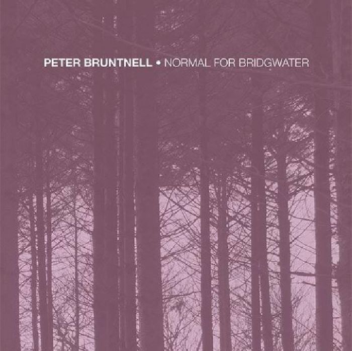BRUNTNELL, Peter - Normal For Bridgwater (Record Store Day 2020)