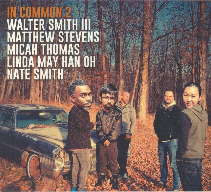 STEVENS, Matthew/WALTER SMITH III - In Common 2