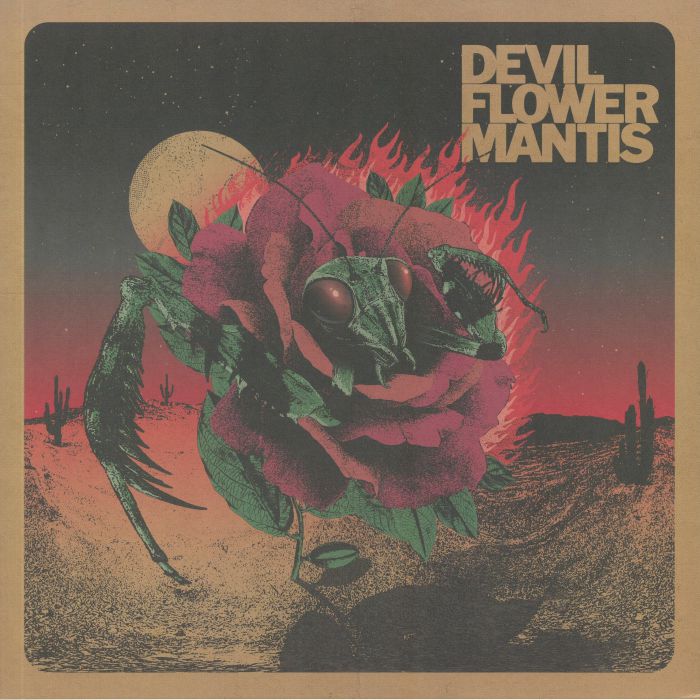 DEVIL FLOWER MANTIS - Devil Flower Mantis