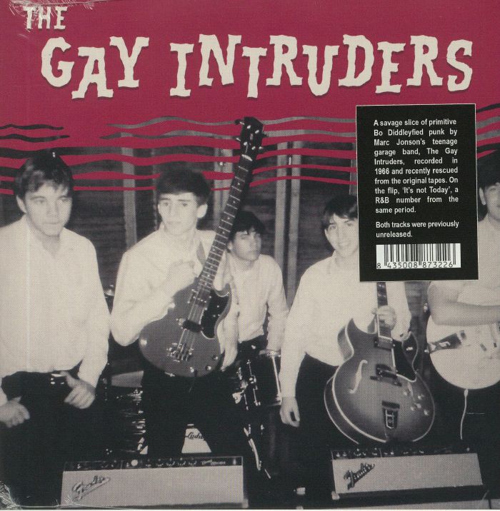 GAY INTRUDERS, The - In The Race