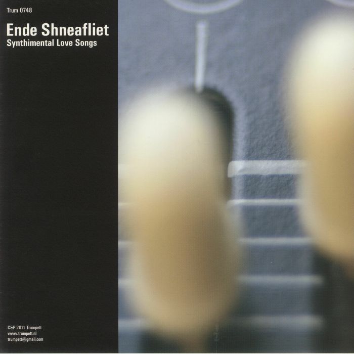 ENDE SHNEAFLIET - Synthimental Love Songs