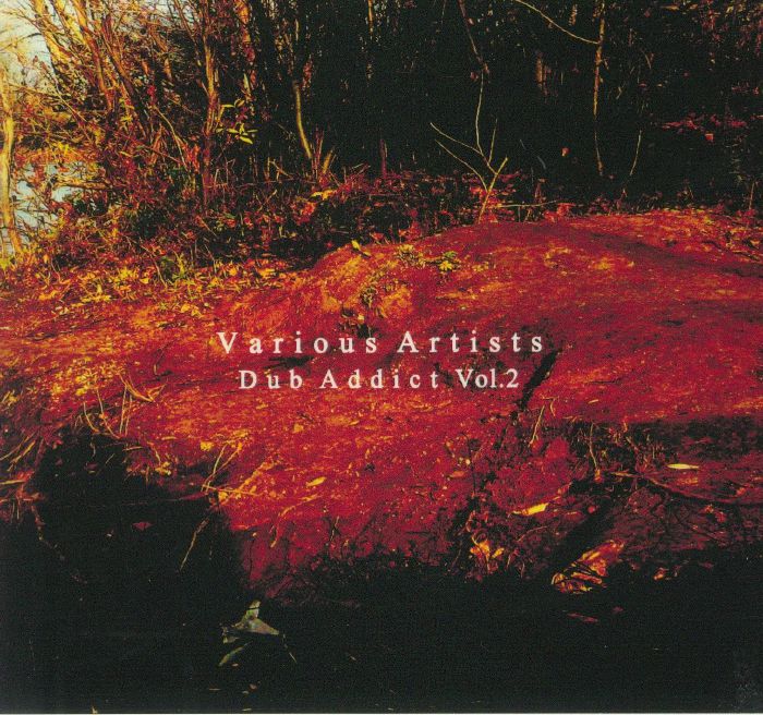 VARIOUS - Dub Addict Vol 2