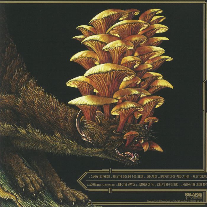 16 - Dream Squasher