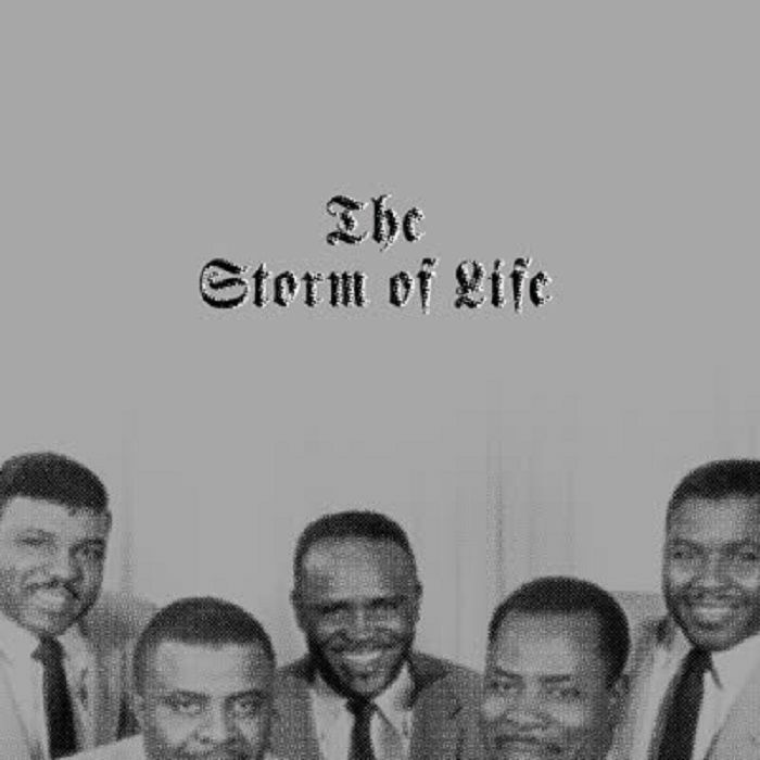 VARIOUS - The Storm Of Life