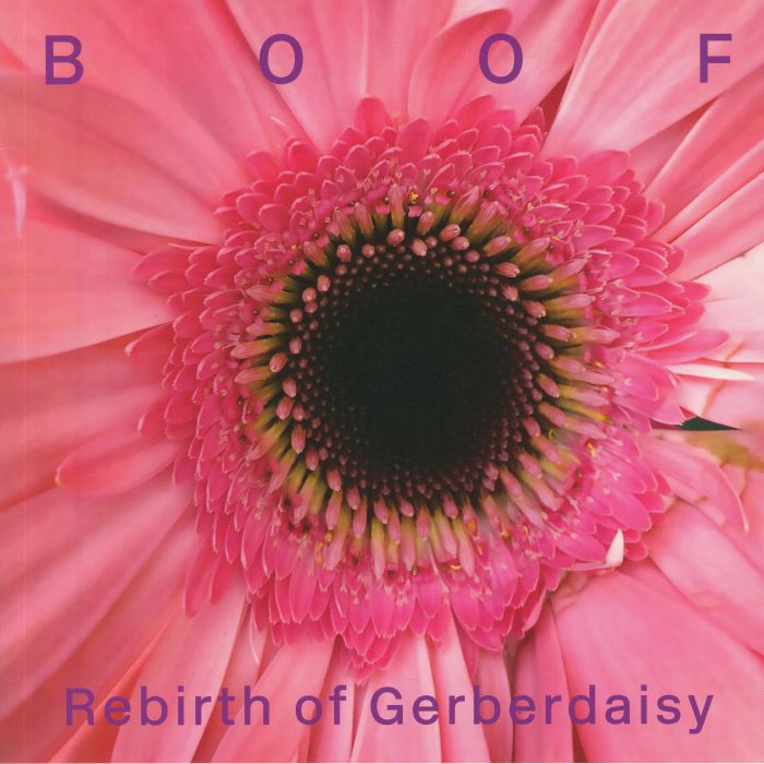 BOOF - Rebirth Of Gerberdaisy