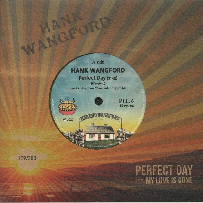 HANK WANGFORD - Perfect Day