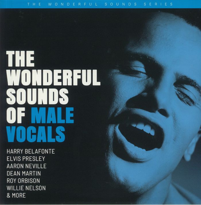 VARIOUS - The Wonderful Sounds Of Male Vocals