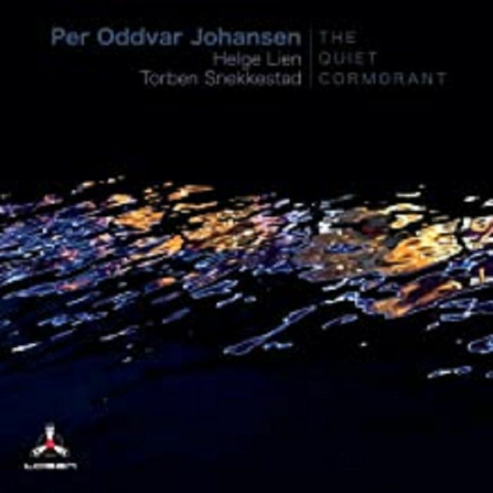 JOHANSEN, Per Oddvar - The Quiet Cormorant