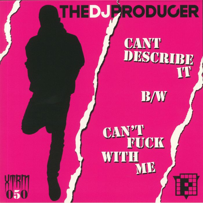 DJ PRODUCER, The - Can't Describe It