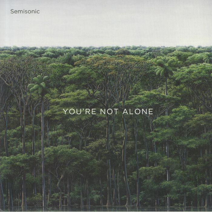 SEMISONIC - You're Not Alone