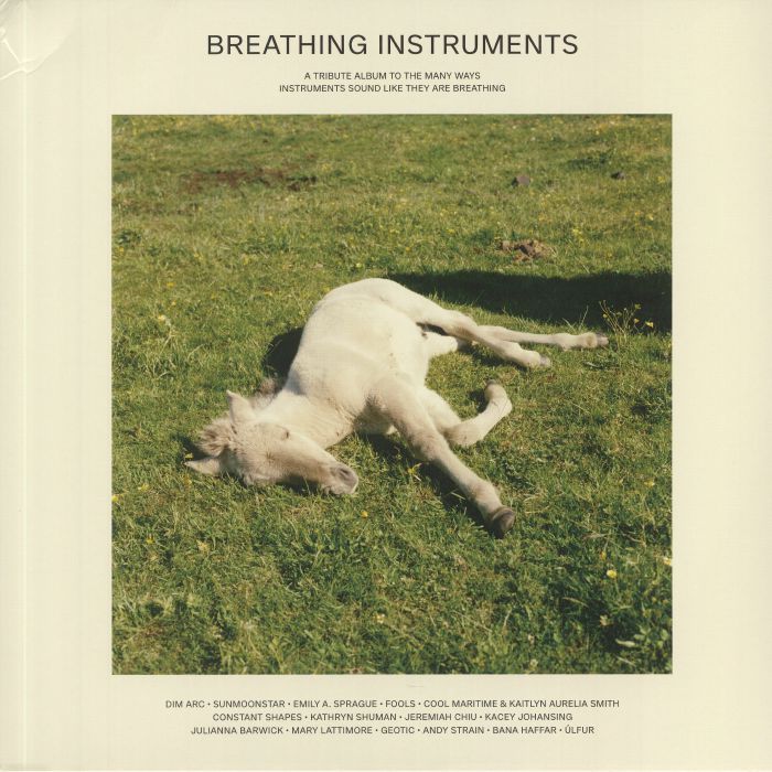 VARIOUS - Breathing Instruments