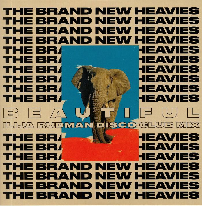 BRAND NEW HEAVIES, The				 - TBNH (Ilija Rudman mixes)				