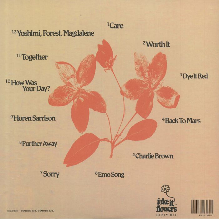 BEABADOOBEE Fake It Flowers Vinyl at Juno Records.