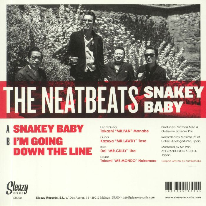 NEATBEATS, The - Snakey Baby