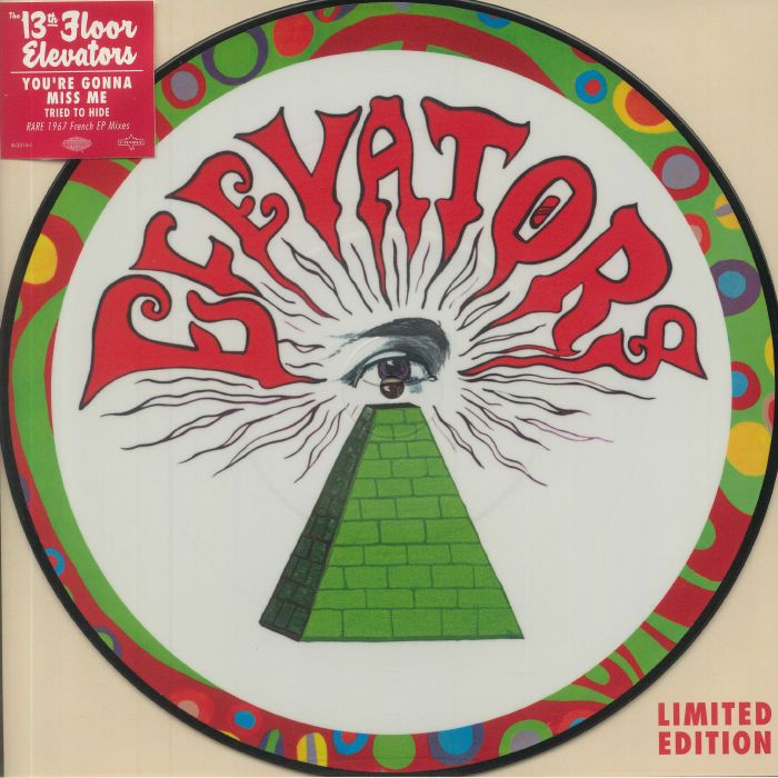 13TH FLOOR ELEVATORS, The - You're Gonna Miss Me