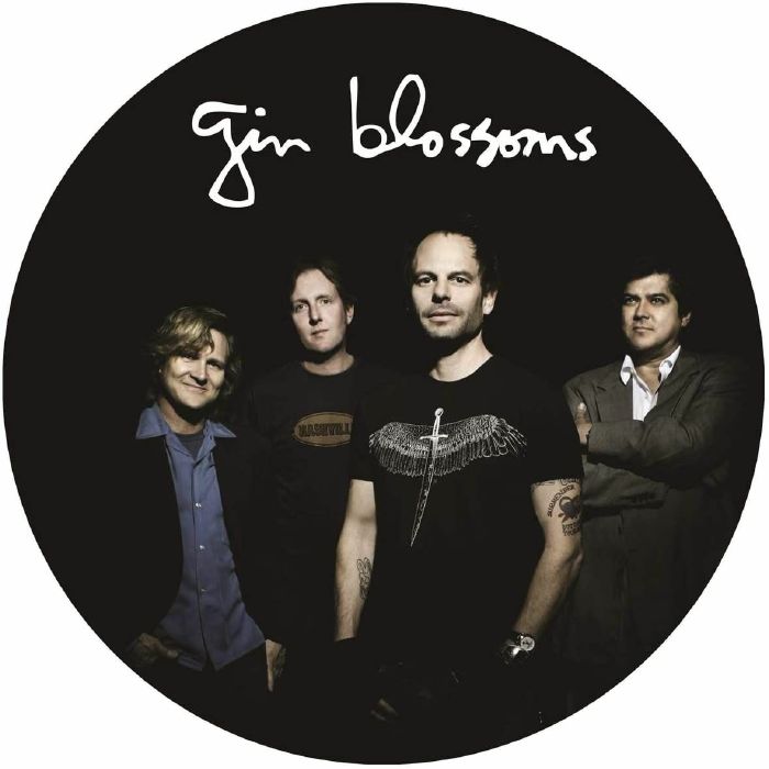 GIN BLOSSOMS - Live In Concert