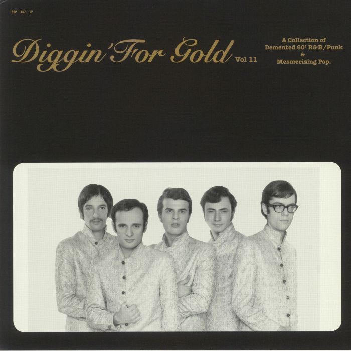 VARIOUS - Diggin' For Gold Vol 11