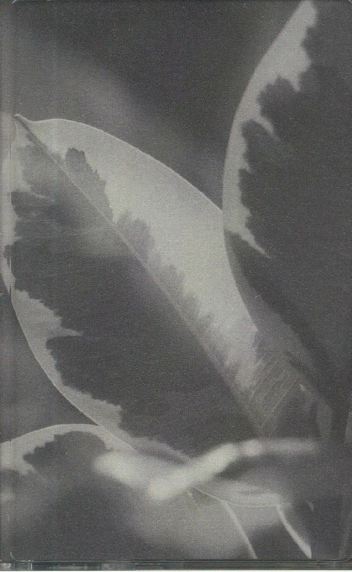 LAMASZ - Nature Morte