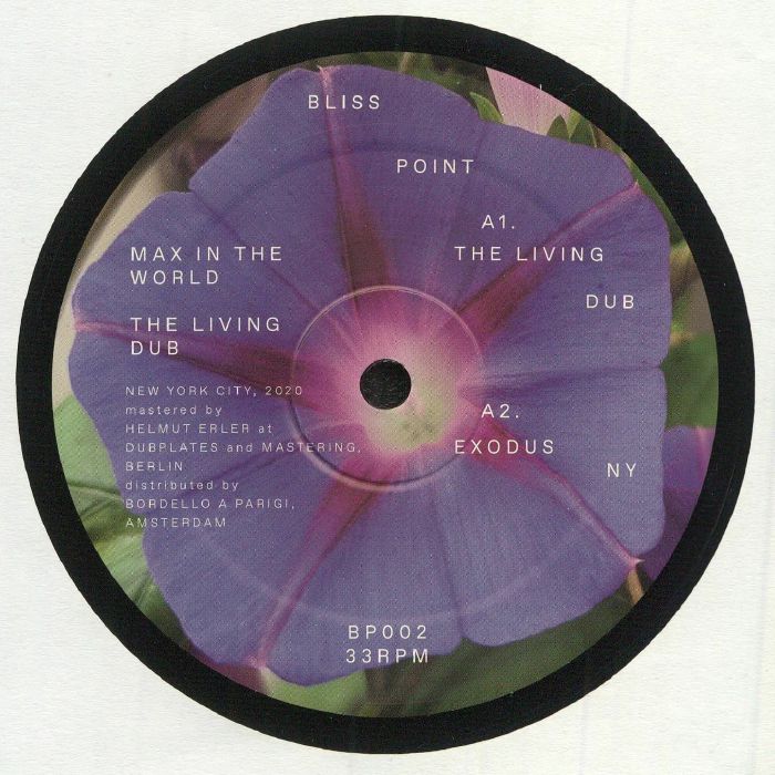 MAX IN THE WORLD - The Living Dub