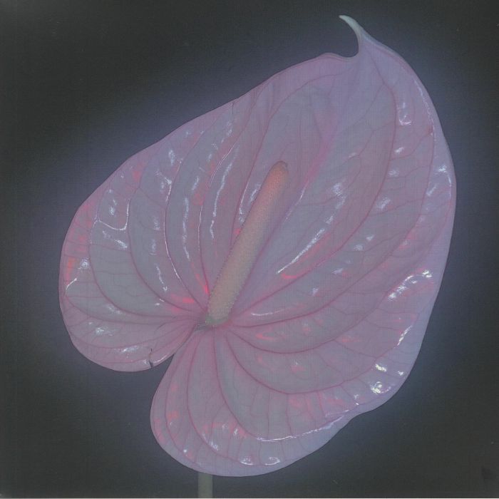 YIN WONG, Flora - Holy Palm