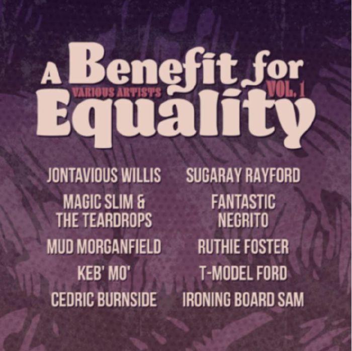 VARIOUS - Benefit For Equality 1